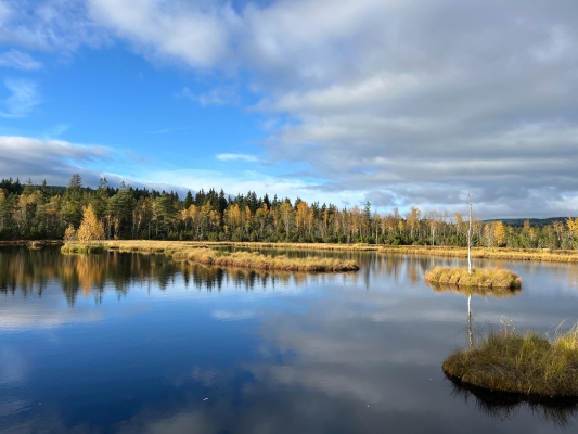 Ubytování U puštíka — Borová Lada
