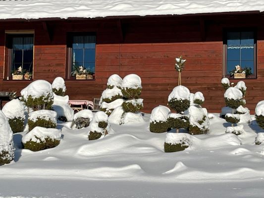 Skalka — Borová Lada