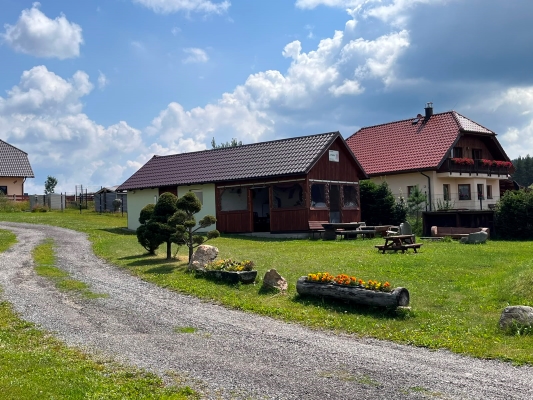 Ubytování U puštíka — Borová Lada